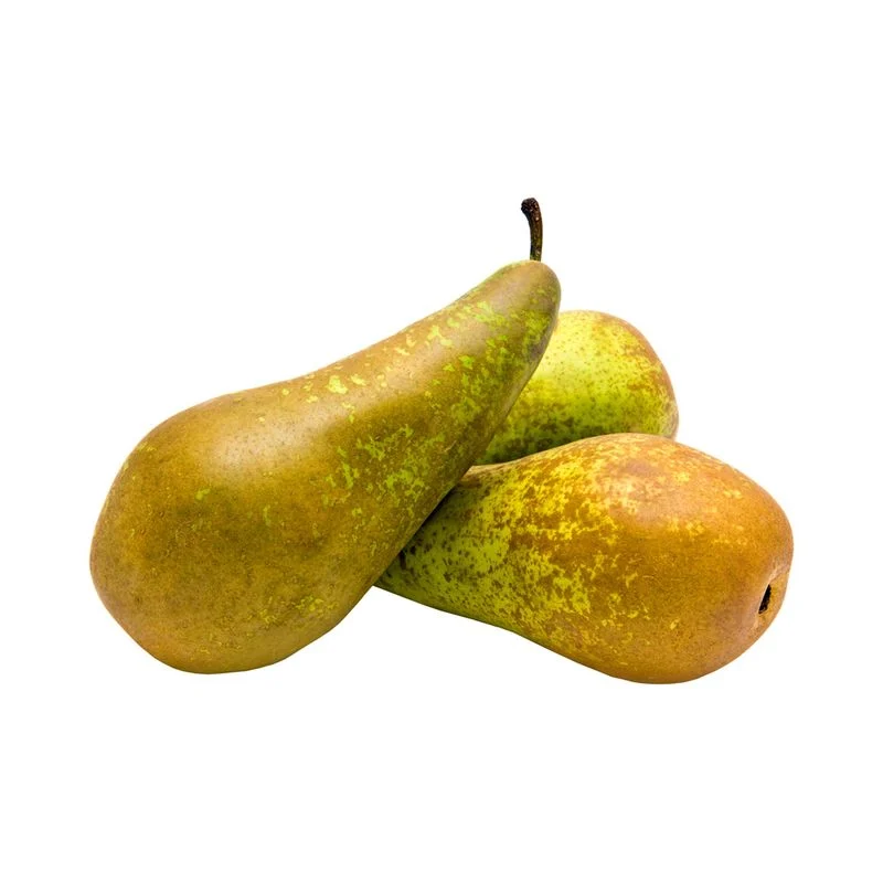 Magus pirn (KG)
